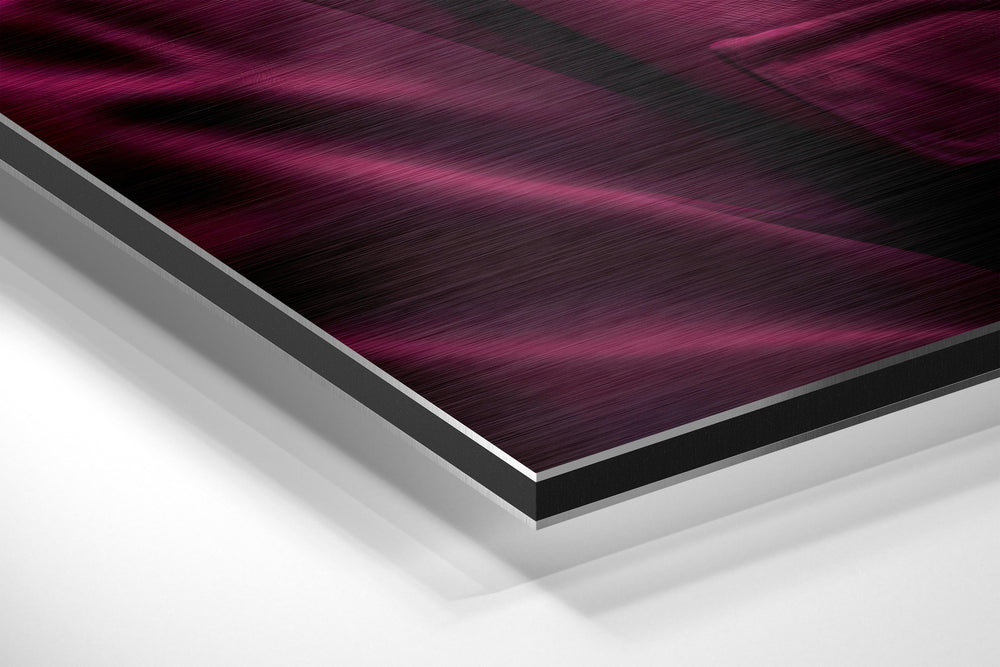 Cool Monkey Brushed Aluminum Dibond Wall Art.