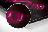 Fashionate Rhino Brushed Aluminum Dibond Wall Art.