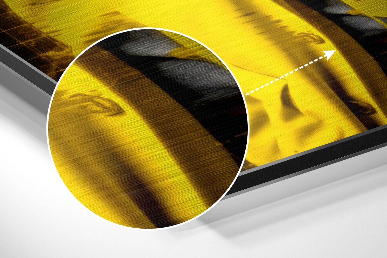 Einstein - I Told You Brushed Aluminum Dibond Wall Art.