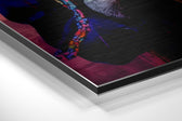 Little Monkey Brushed Aluminum Dibond Wall Art.