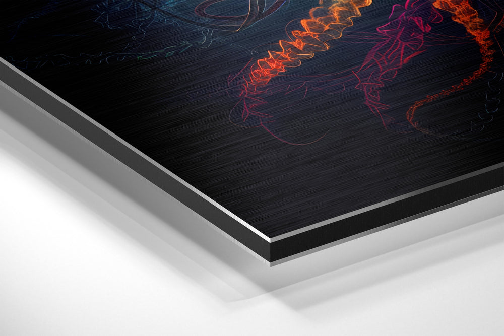 Jellyfish Brushed Aluminum Dibond Wall Art.