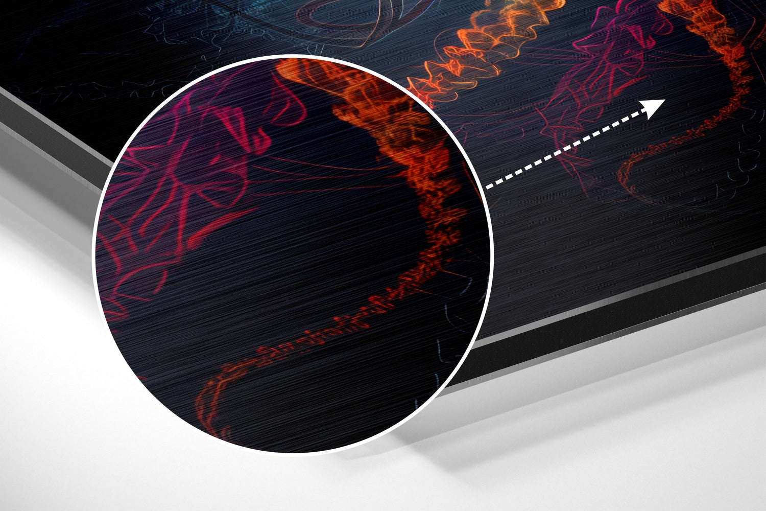 Jellyfish Brushed Aluminum Dibond Wall Art.