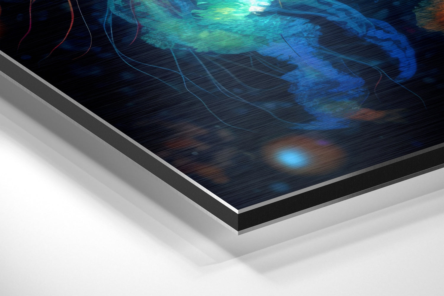 Jellyfish Brushed Aluminum Dibond Wall Art.