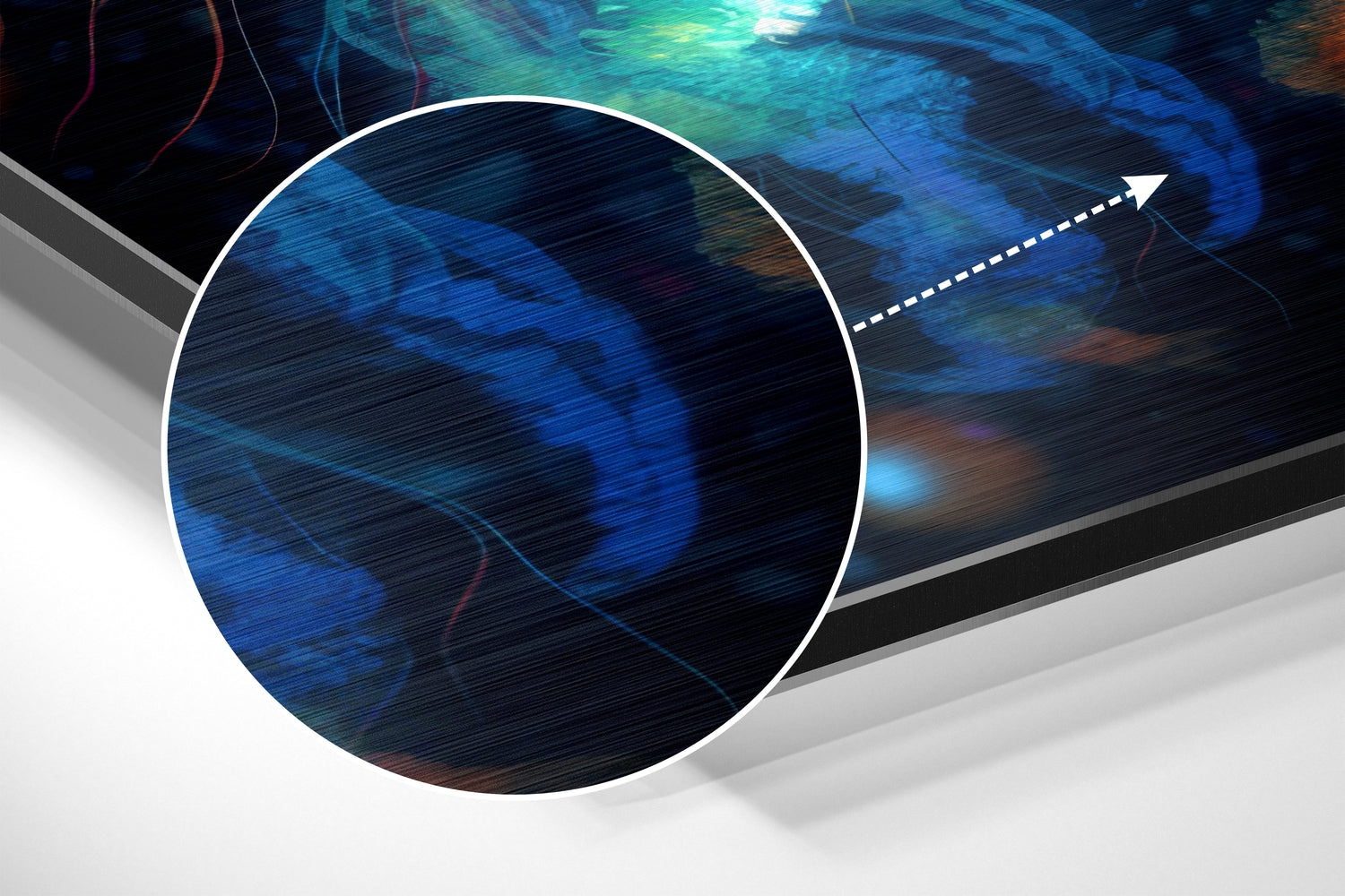 Jellyfish Brushed Aluminum Dibond Wall Art.