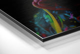 Brushed Aluminum Dibond Wall Art