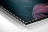 Brushed Aluminum Dibond Wall Art