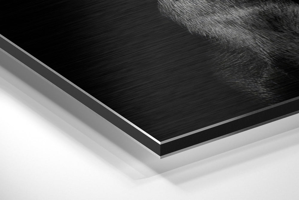Dog and Gun Brushed Aluminum Dibond Wall Art.