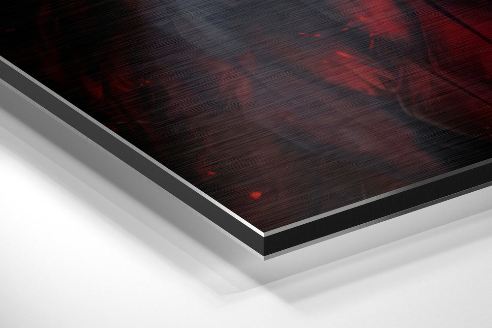 Red Eagle Brushed Aluminum Dibond Wall Art.