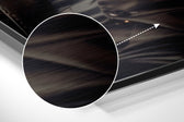 Cat Boss Brushed Aluminum Dibond Wall Art.