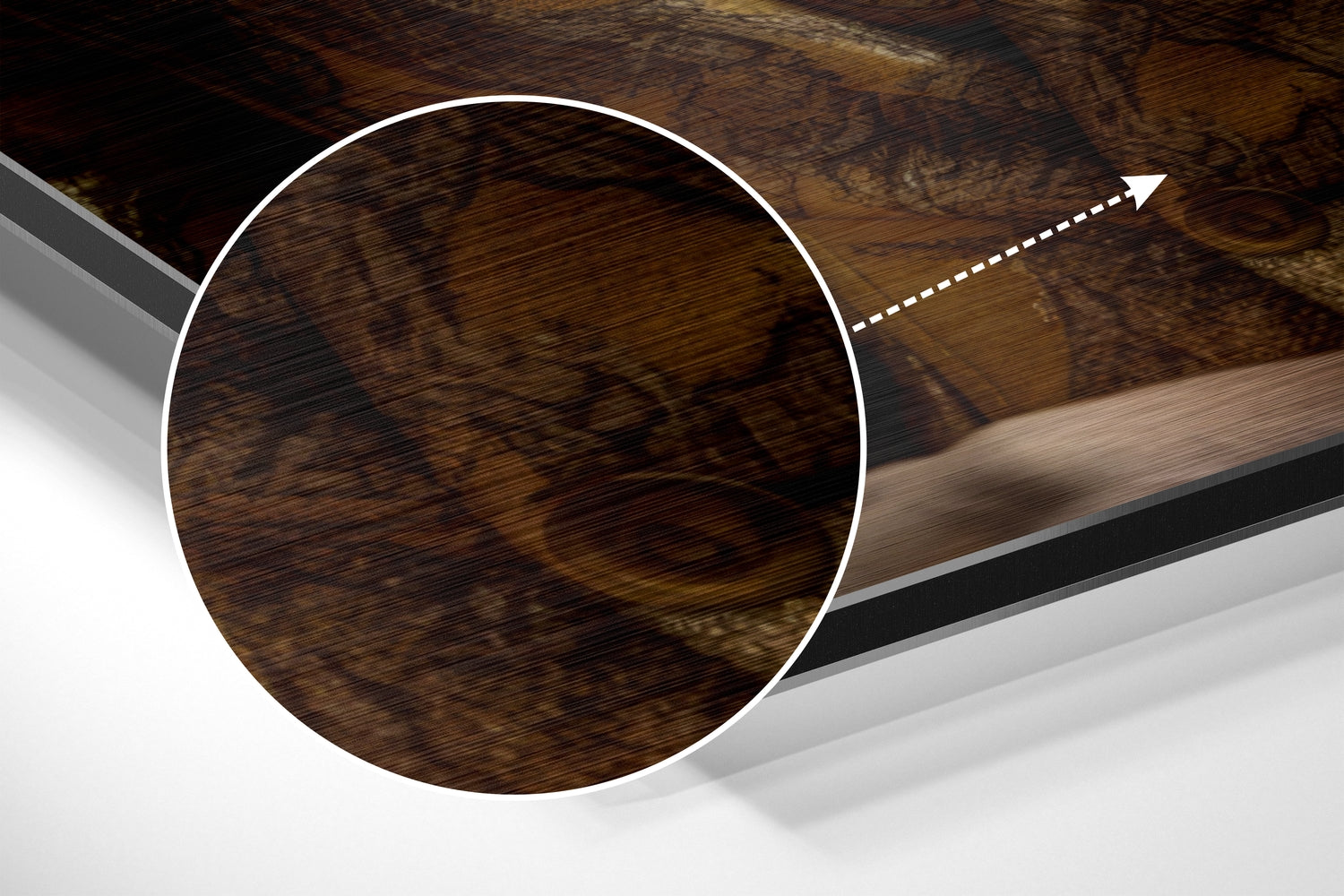 Mr. Lion Brushed Aluminum Dibond Wall Art.