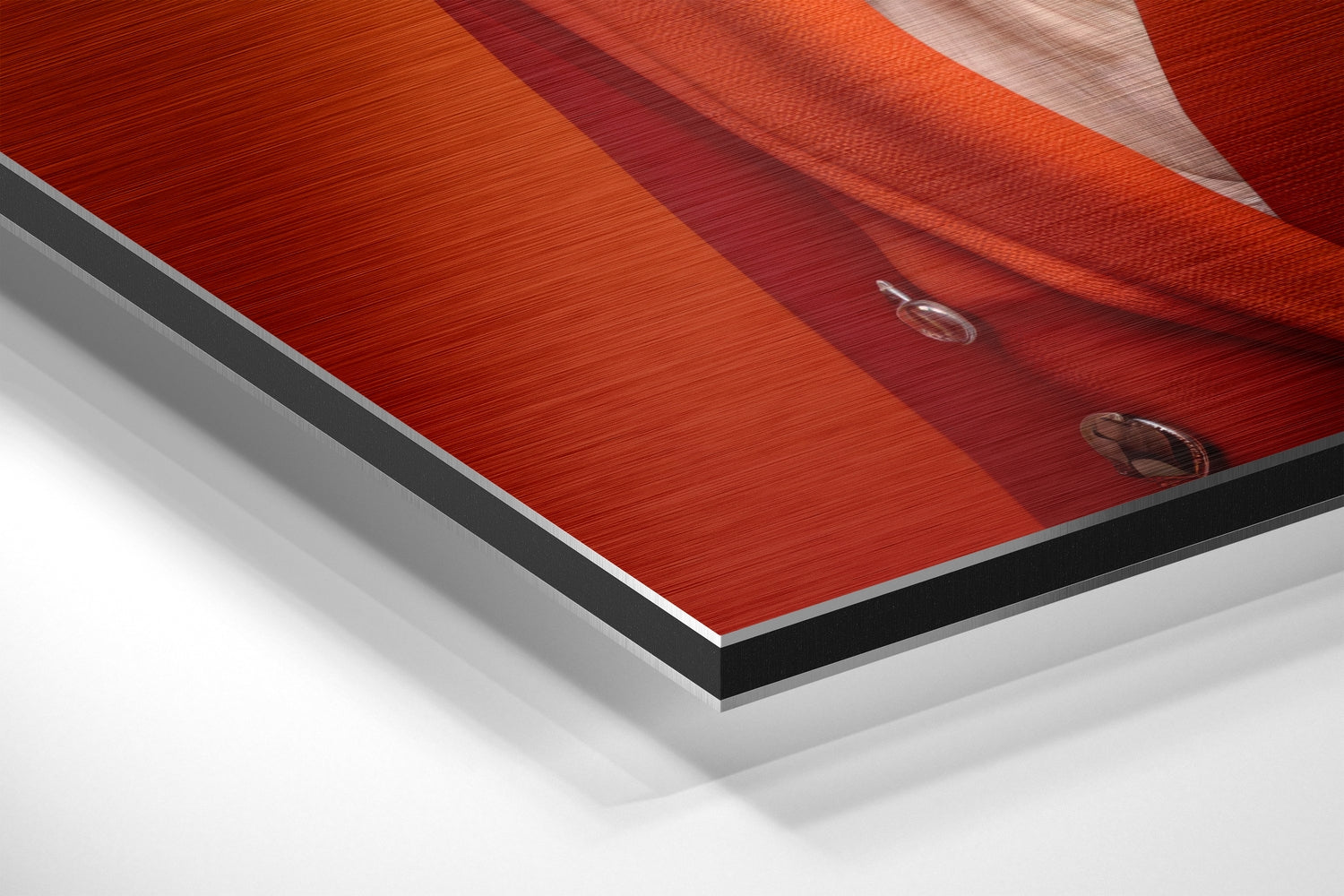 Lady Bird Brushed Aluminum Dibond Wall Art.