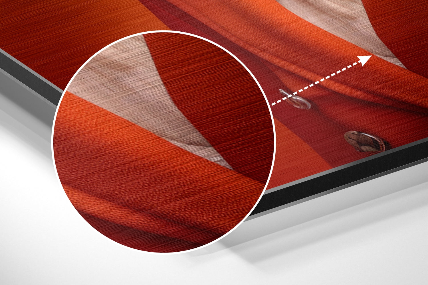 Lady Bird Brushed Aluminum Dibond Wall Art.