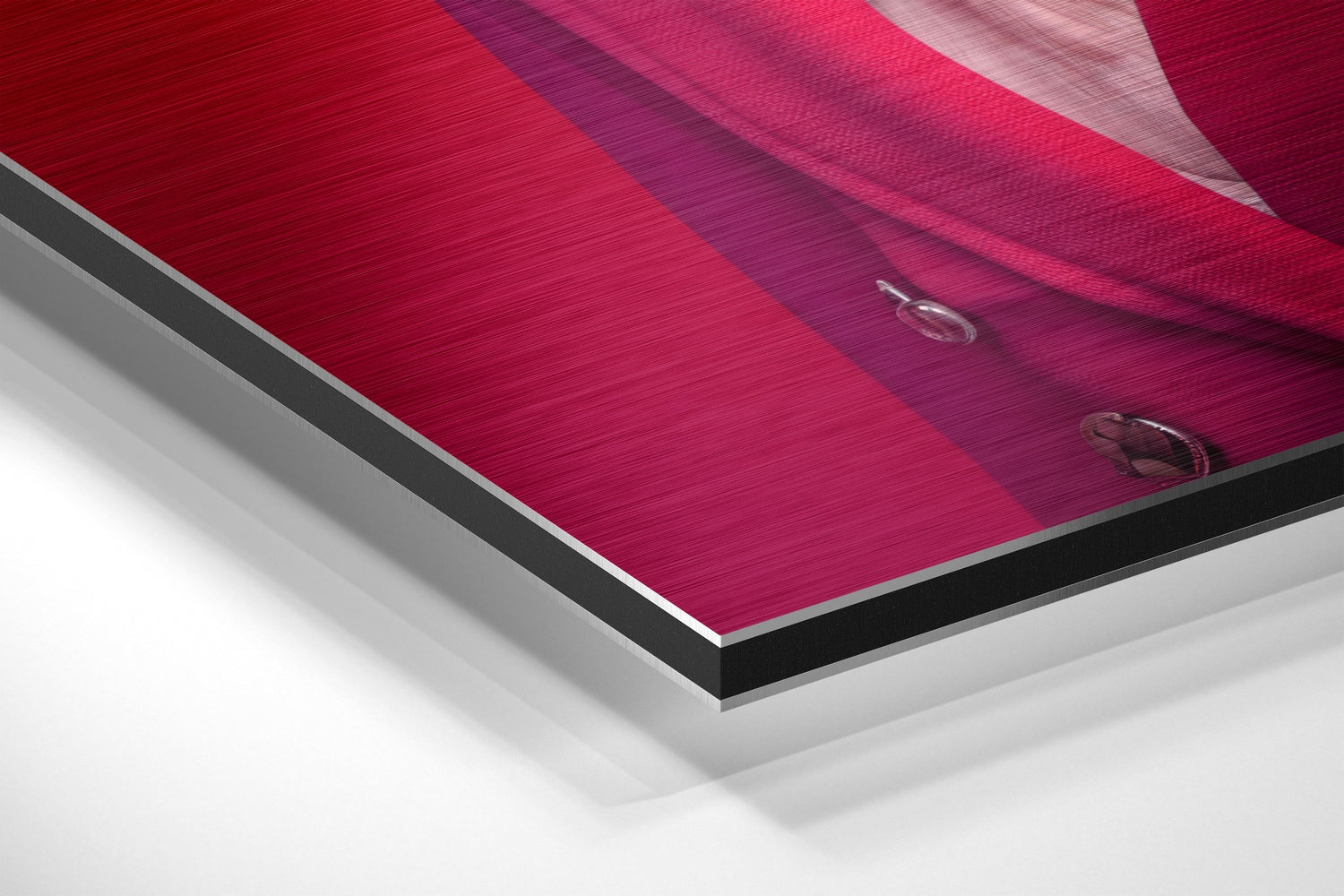 Lady Bird Brushed Aluminum Dibond Wall Art.