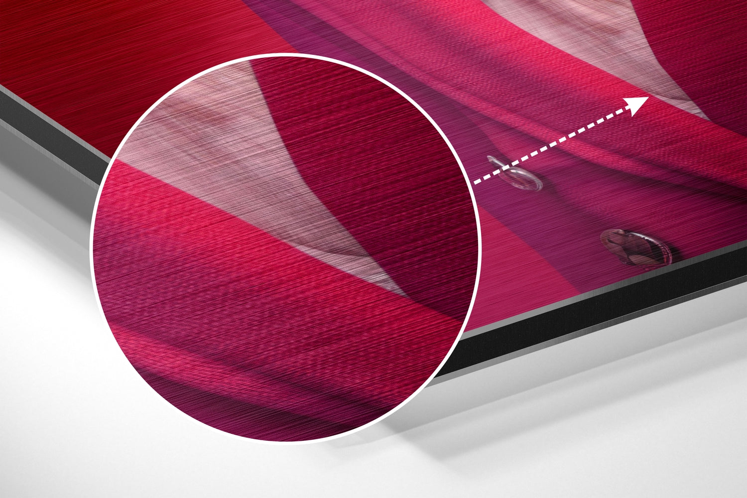 Lady Bird Brushed Aluminum Dibond Wall Art.