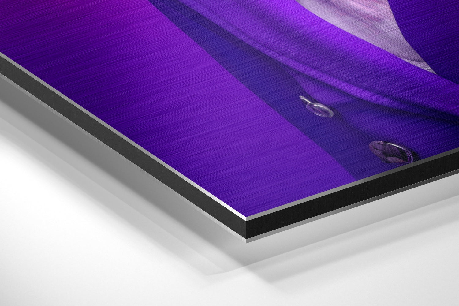 Lady Bird Brushed Aluminum Dibond Wall Art.