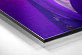 Lady Bird Brushed Aluminum Dibond Wall Art.