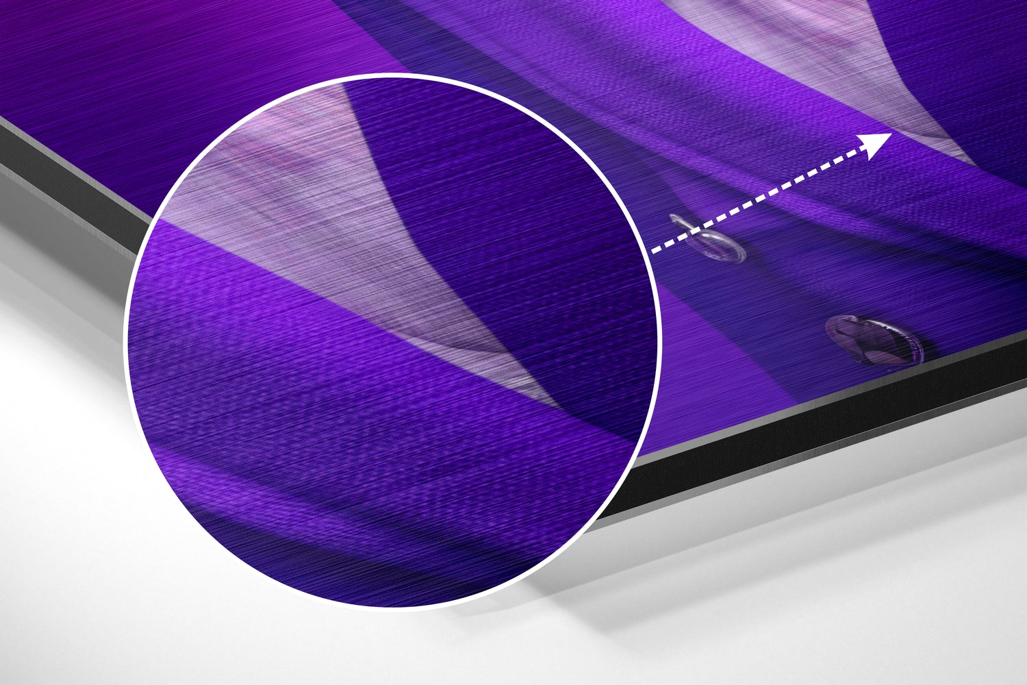 Lady Bird Brushed Aluminum Dibond Wall Art.