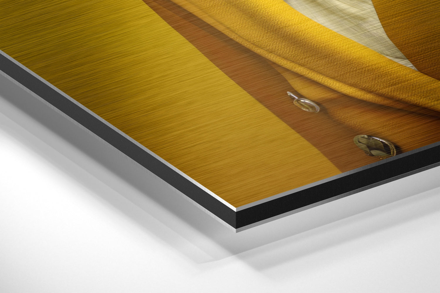 Lady Bird Brushed Aluminum Dibond Wall Art.