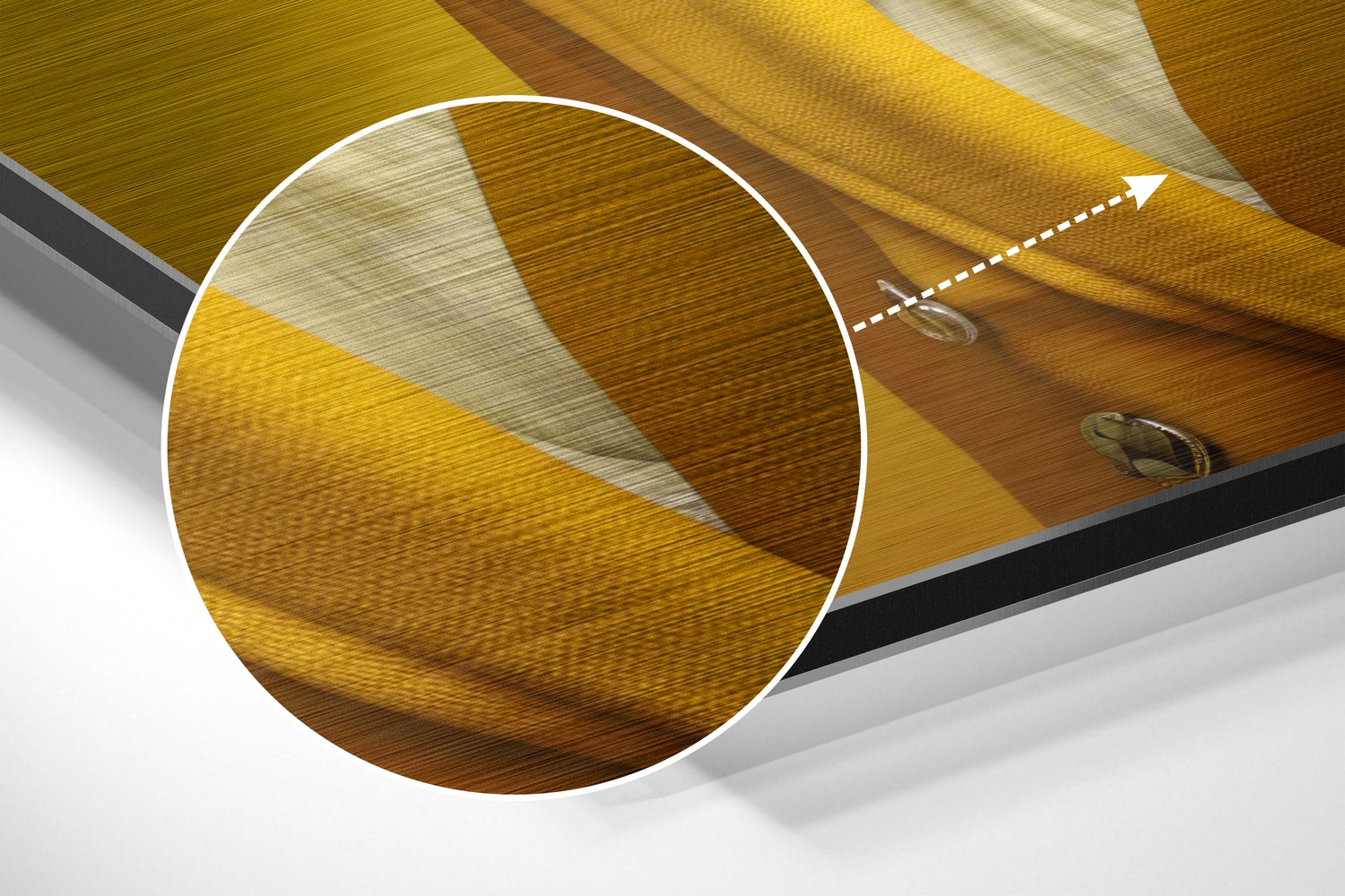 Lady Bird Brushed Aluminum Dibond Wall Art.