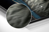 Anger of the Ape Brushed Aluminum Dibond Wall Art.