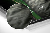 Anger of the Ape Brushed Aluminum Dibond Wall Art.
