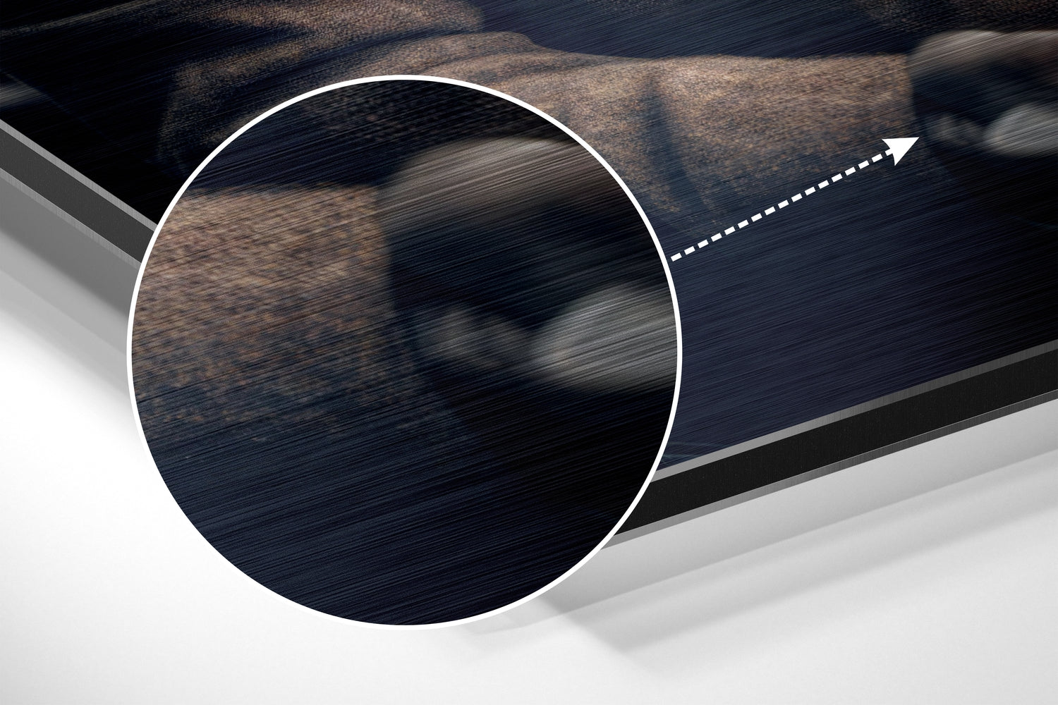 Elephant the Gentleman Brushed Aluminum Dibond Wall Art.