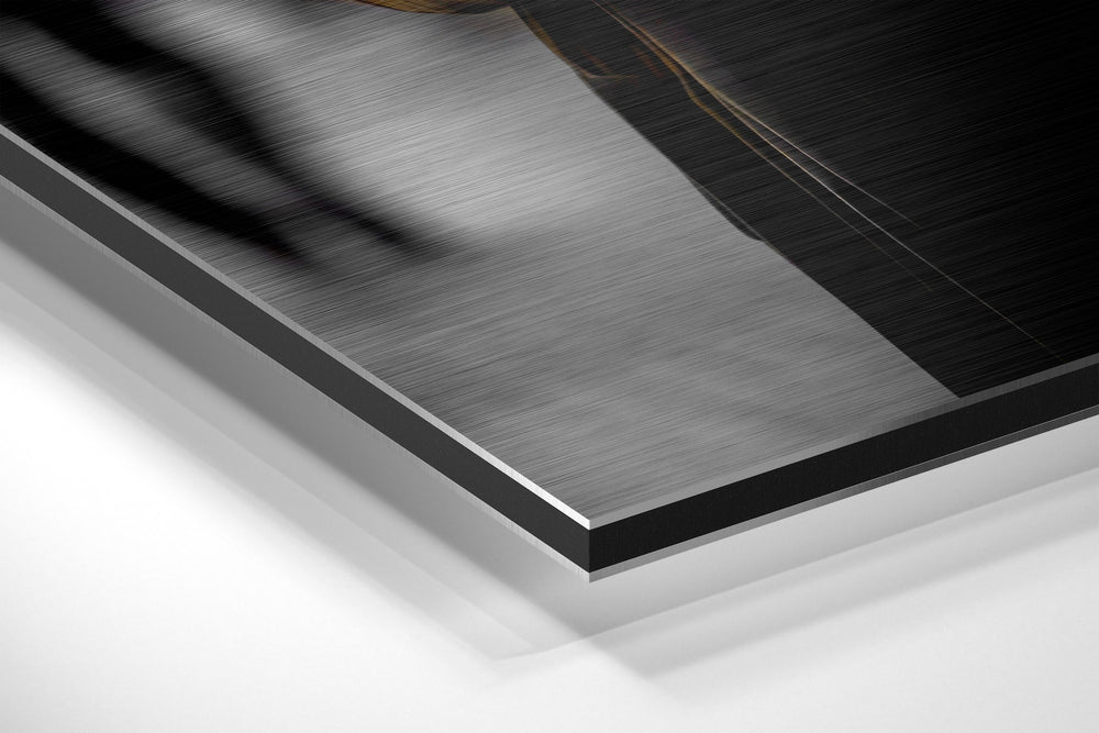 Black Panther Brushed Aluminum Dibond Wall Art.