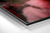 Sheeps' Life Brushed Aluminum Dibond Wall Art.