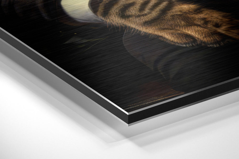 Cat Boss Brushed Aluminum Dibond Wall Art.
