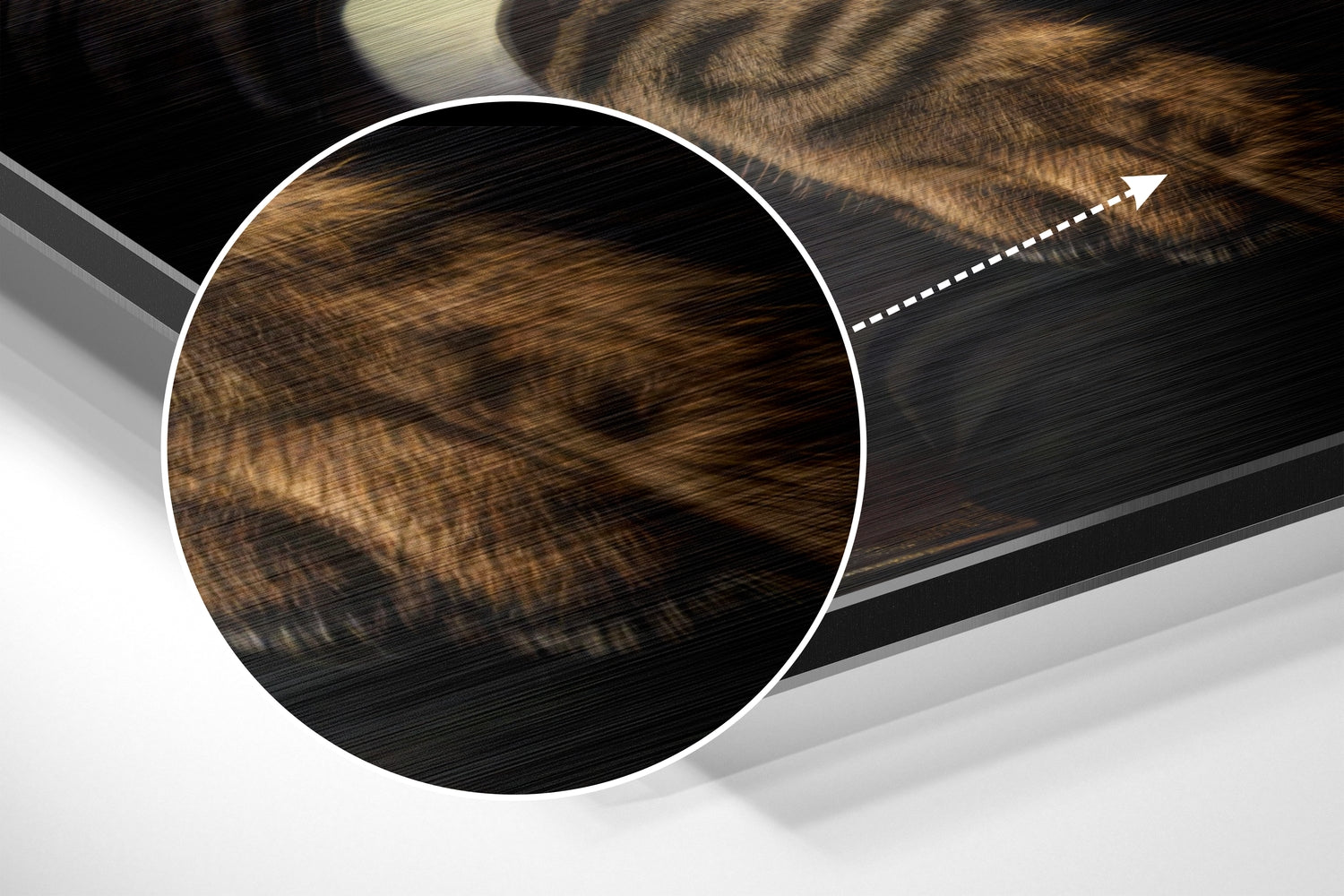 Cat Boss Brushed Aluminum Dibond Wall Art.