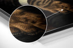 Cat Boss Brushed Aluminum Dibond Wall Art.