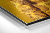 Lion Prince Brushed Aluminum Dibond Wall Art.