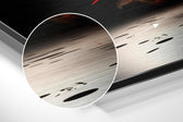 Bull Brushed Aluminum Dibond Wall Art.