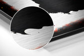 Bull Brushed Aluminum Dibond Wall Art.