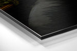 Lion as a Gentleman Brushed Aluminum Dibond Wall Art.