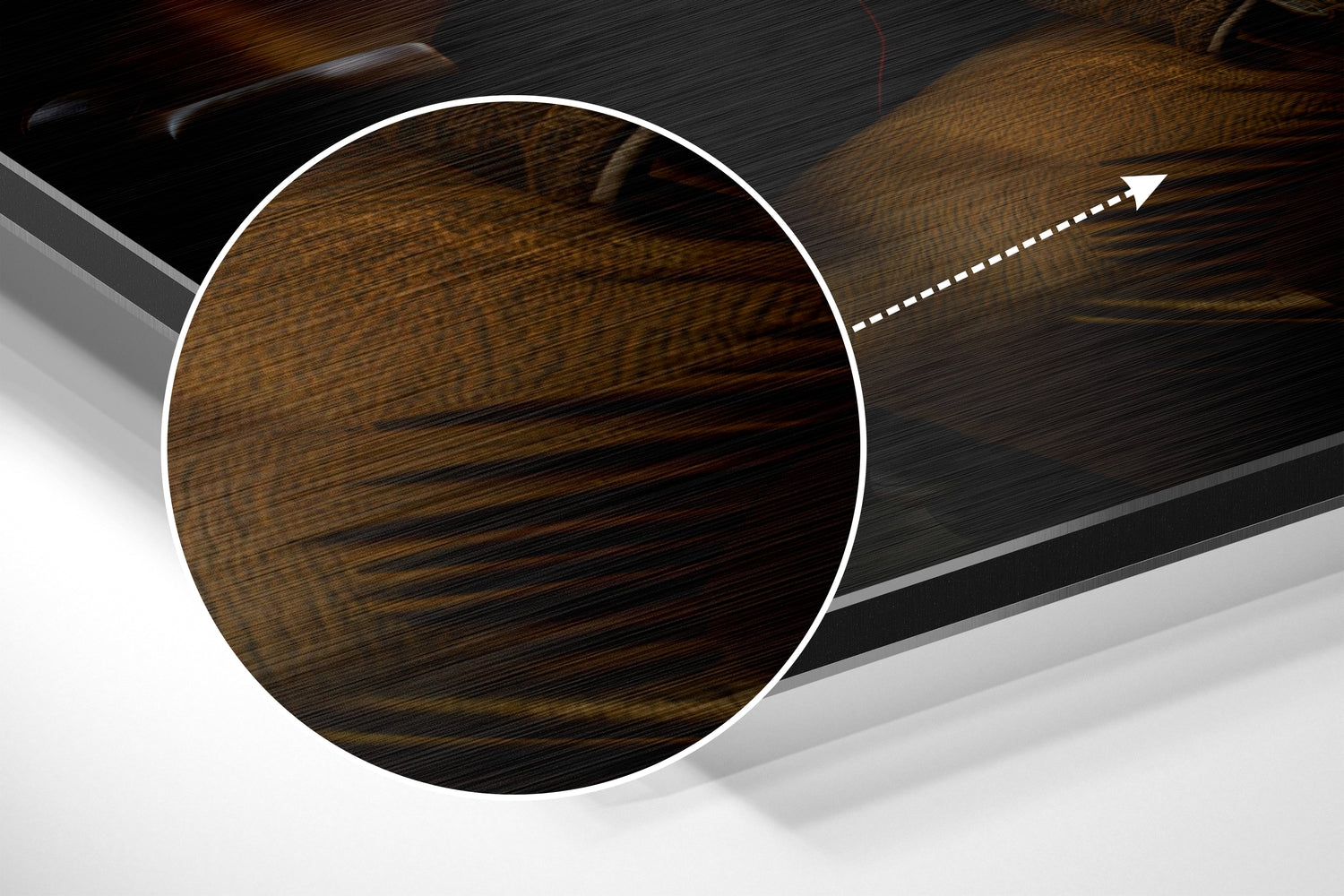 Lion as a Gentleman Brushed Aluminum Dibond Wall Art.