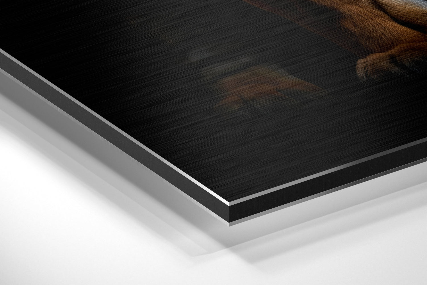 Tiger Brushed Aluminum Dibond Wall Art.