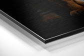 Tiger Brushed Aluminum Dibond Wall Art.