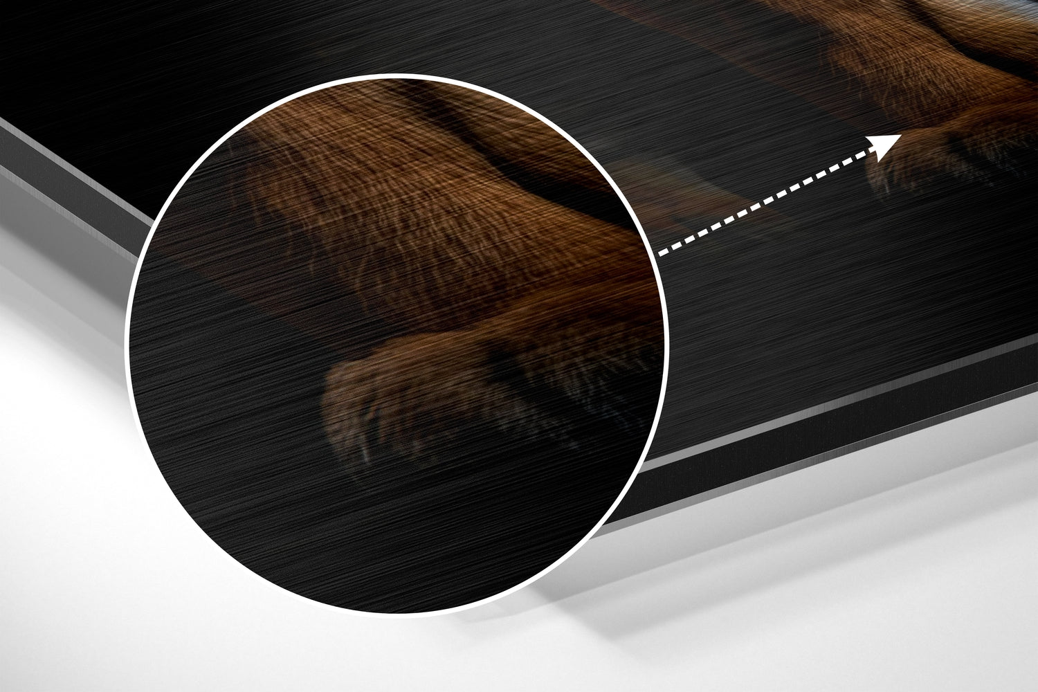 Tiger Brushed Aluminum Dibond Wall Art.