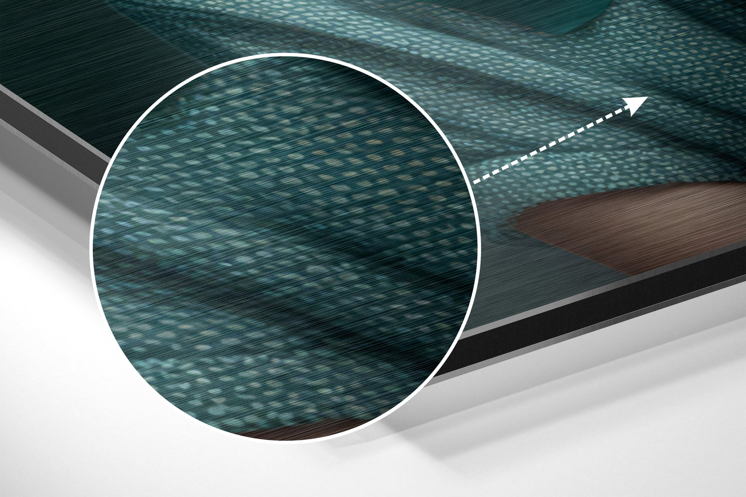 Lady Dog Brushed Aluminum Dibond Wall Art.