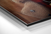 Mr. Dog Brushed Aluminum Dibond Wall Art.