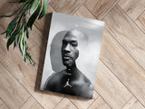 Jordan Aluminum Print.