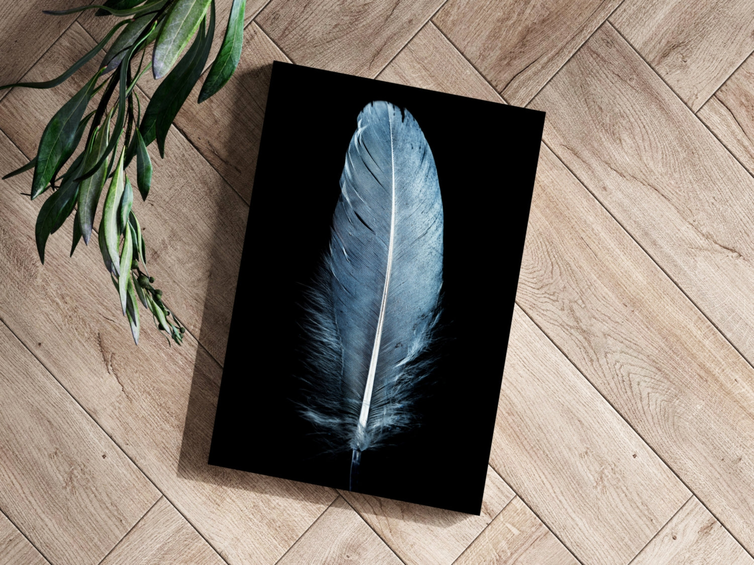 Blue Feather Aluminum Print.