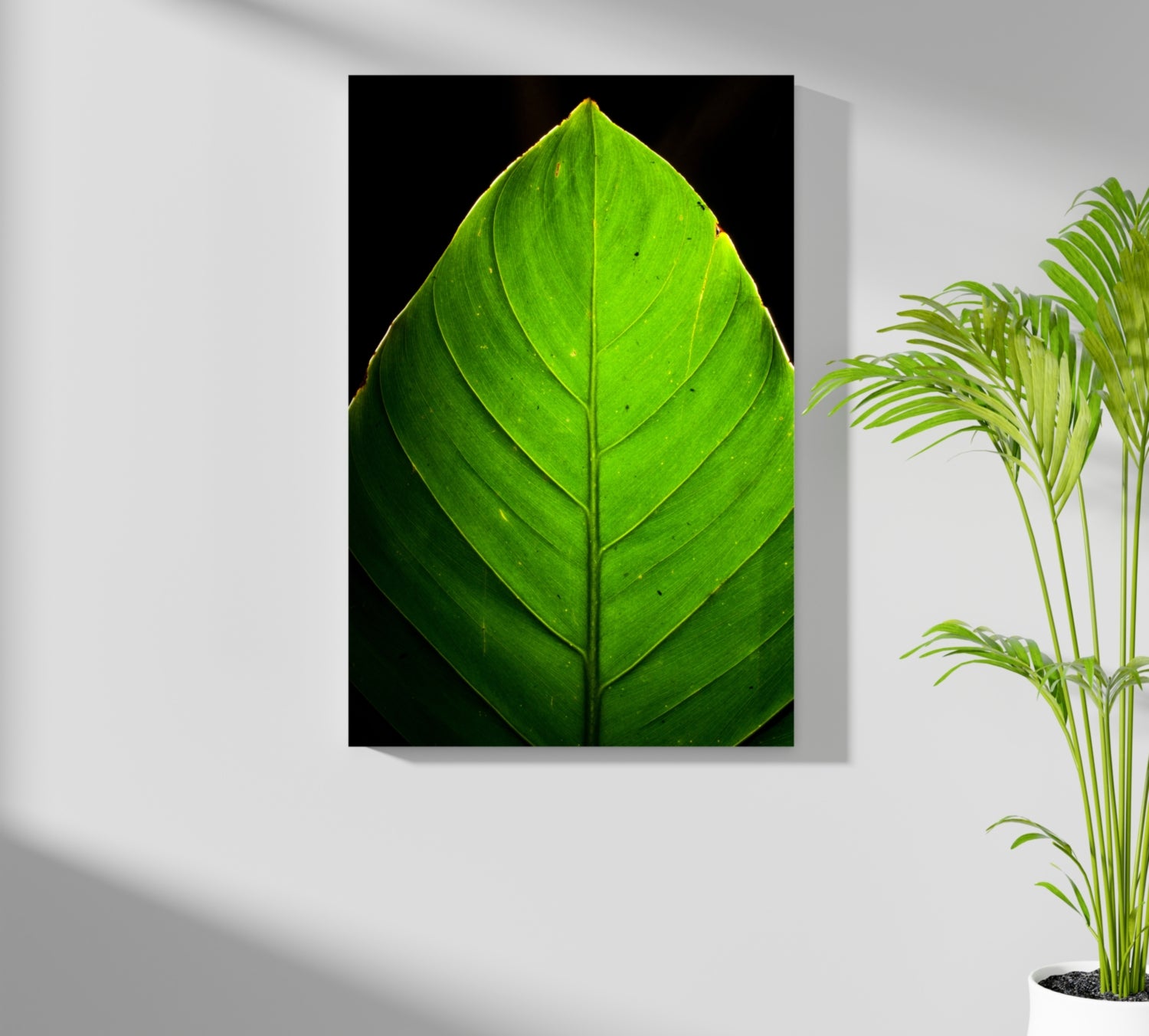 Green Leaf Aluminum Print.