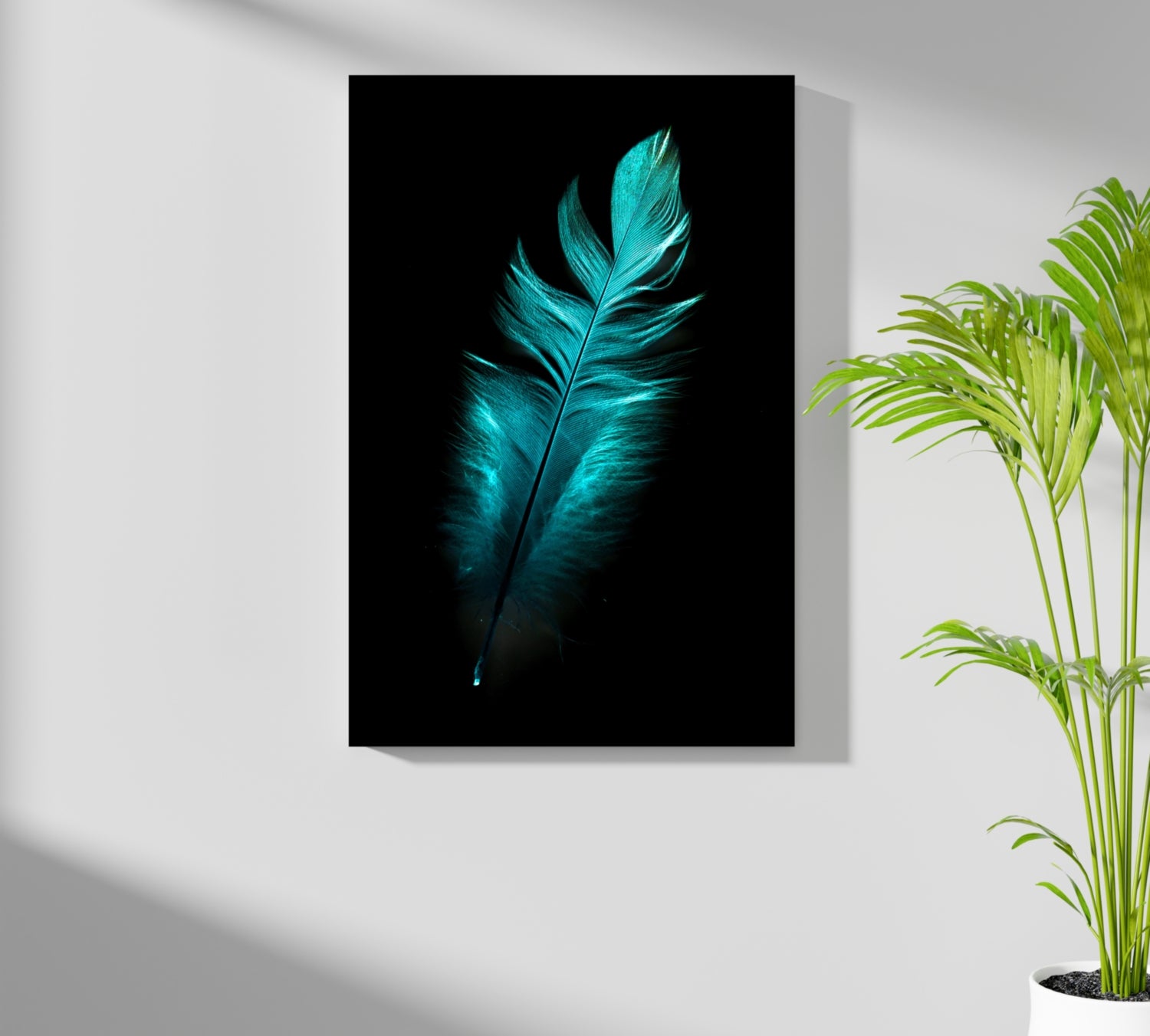 Teal Feather Aluminum Print.
