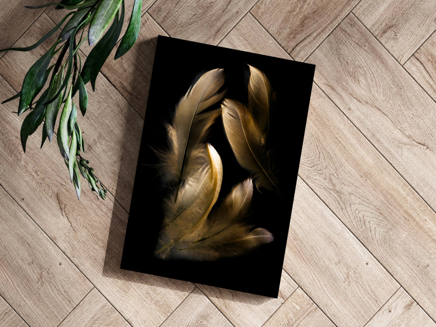 Bronze Feather Aluminum Print.