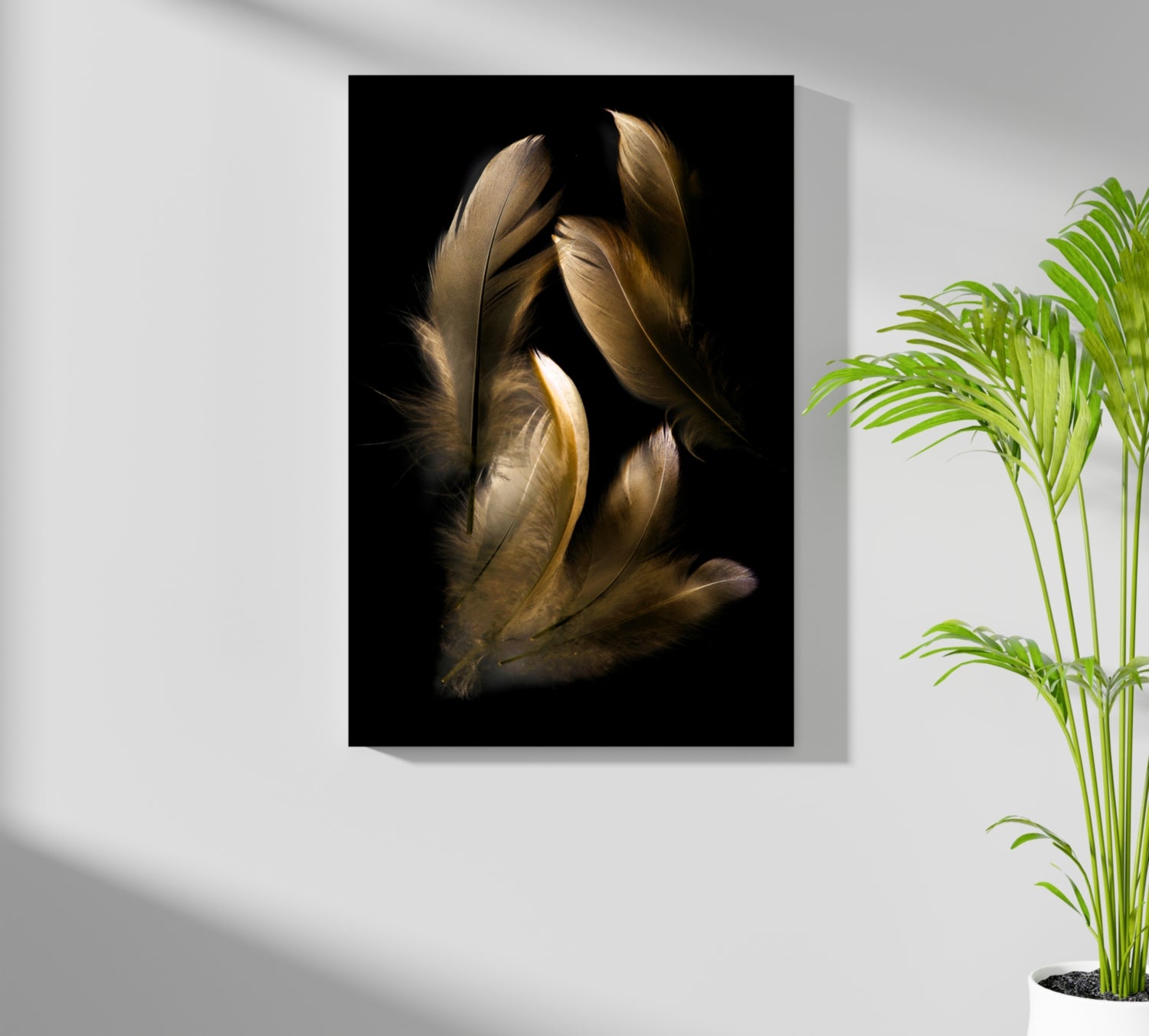 Bronze Feather Aluminum Print.