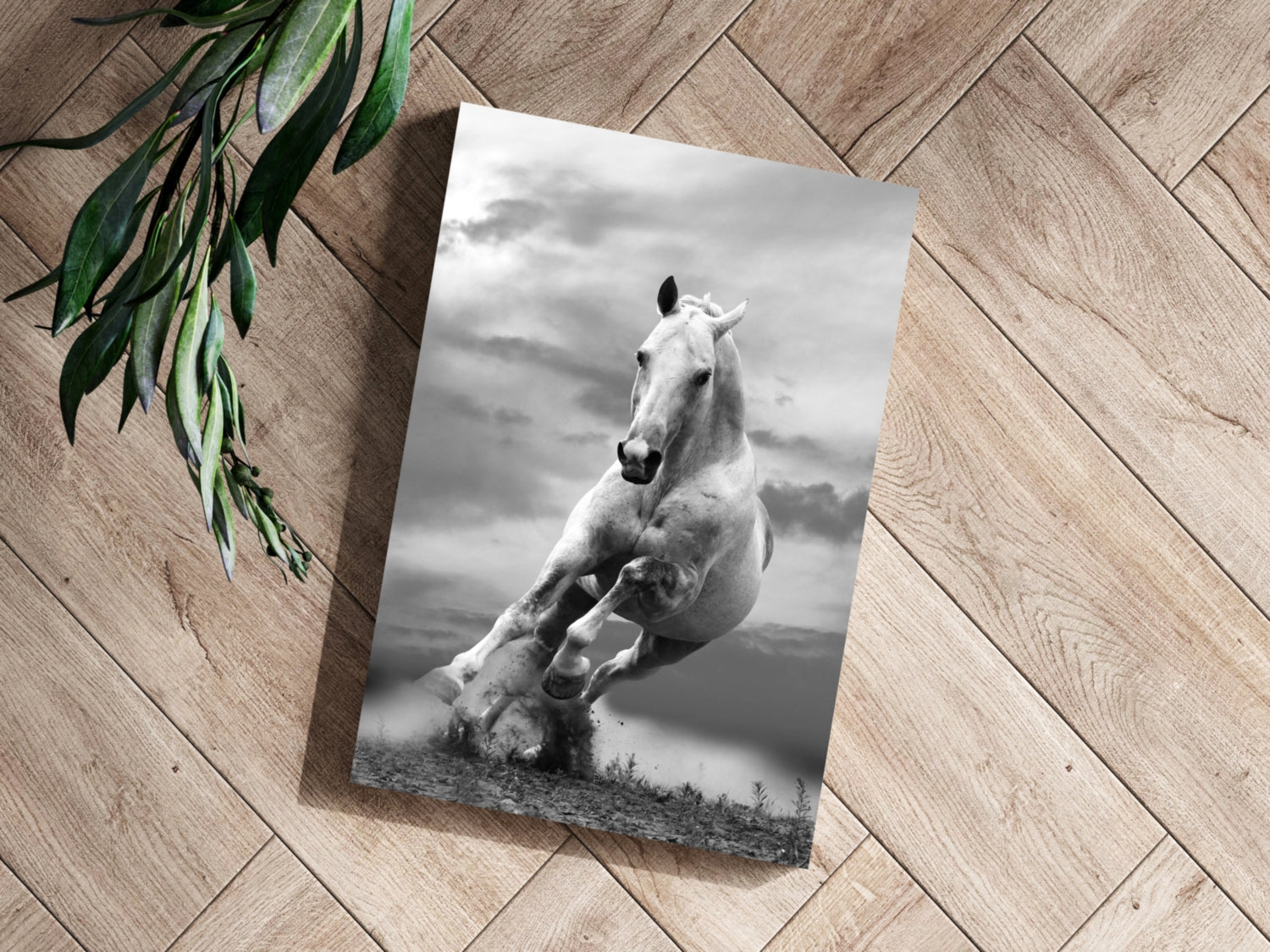 Running Horse Aluminum Print.