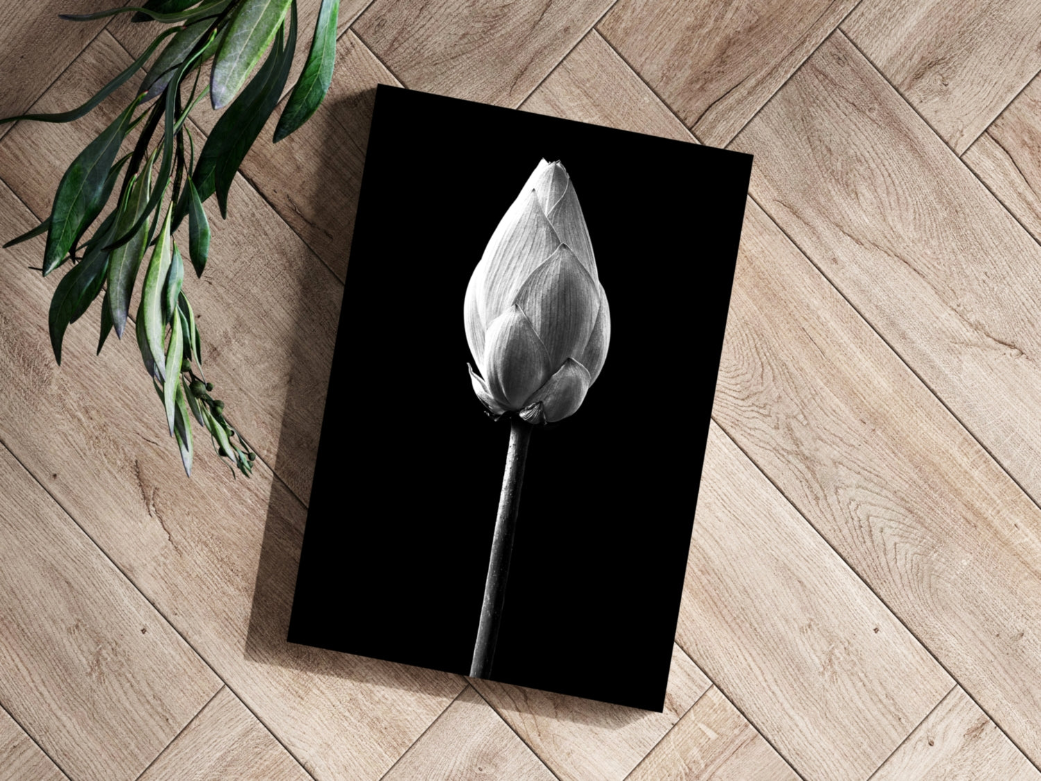 Flower Aluminum Print.