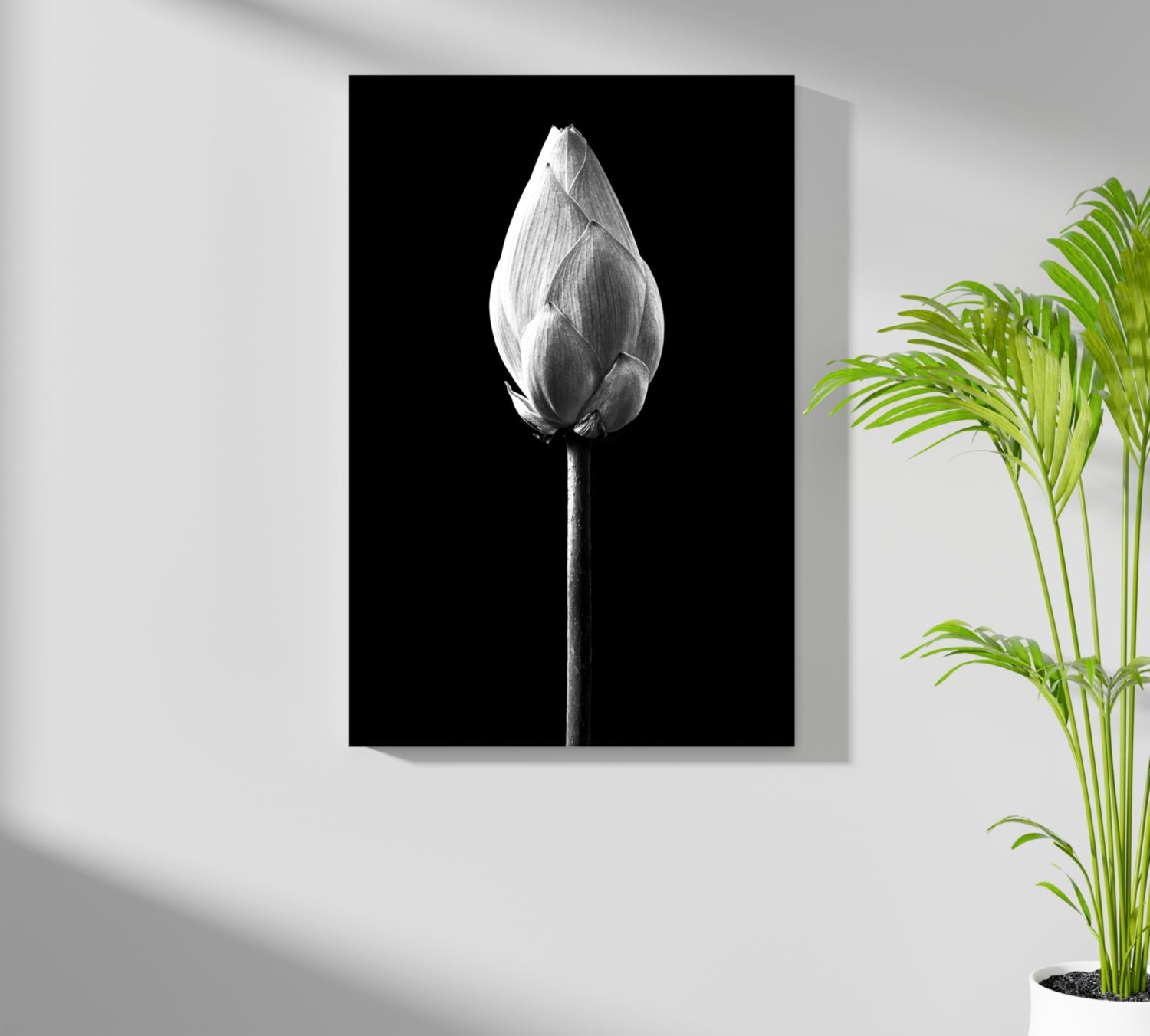 Flower Aluminum Print.